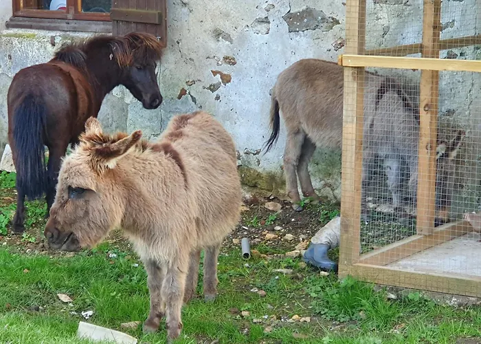 à La Ferme * Sablonnieres